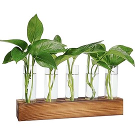 Plant Propagation Station, Plant Terrarium with Wooden Stand, Plant Pots for Hydroponics, Small Birthday Gardening Gifts for Women Mom Plant Lovers Unique - 5 Glass Test Tubes Vases