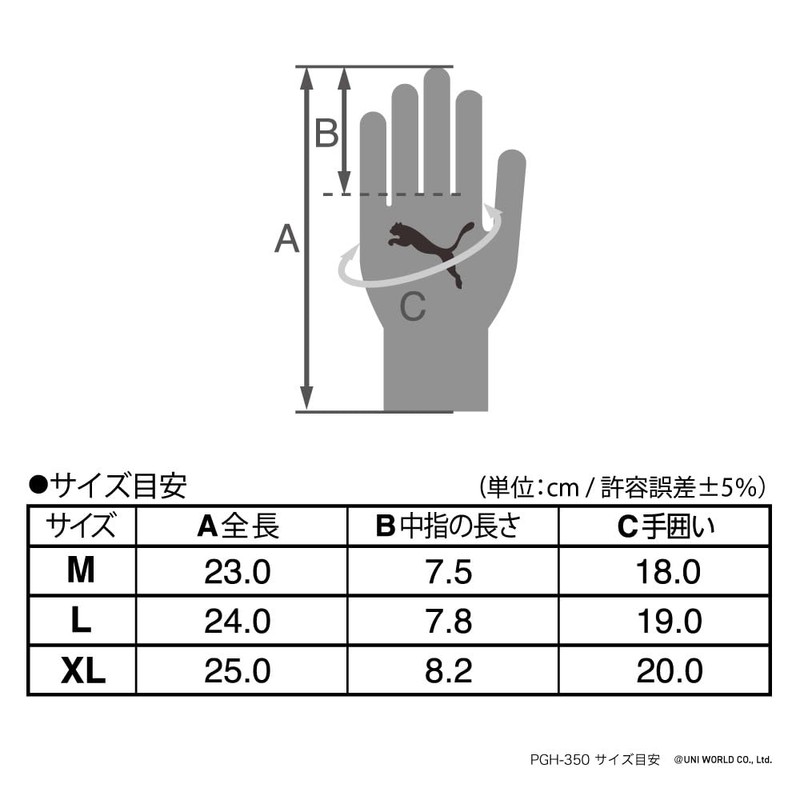 PUMA GLOVES Hiromi Collaboration Model