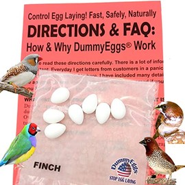 DummyEggsⓇ USA. Finch Dummy Eggs Stop Laying! White Non-Toxic Solid Plastic Realistic Fake Bird Eggs for All Finches Society, Zebra, Gouldian, Spice. 15 x 12mm 5/8" x 1/2" Laid in USA!
