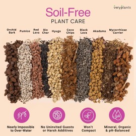 Molly's Orchid Mix - Premium Soilless Potting Mix for Orchids - Contains Bark, Coco Chips, Akadama, Pumice, Lava Rock 10 Dry Quarts (11L)