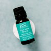 ECO. Modern Essentials Sinus Clear Essential Oil Blend, Blend 10ml