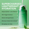innisfree Green Tea Ceramide Refillable Korean Milk Toner for Hydration