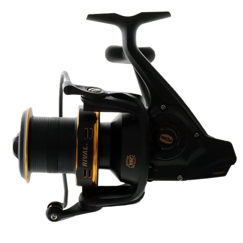 PENN Rival Longcast Fishing Reels - Gold