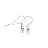 Linsoir Beads Iron Wire Earring Hooks with Large Loop Packed