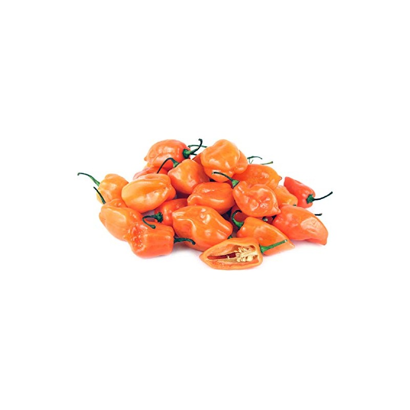 Viridis Hortus - 100 x Habanero Caribbean Orange Chilli Pepper