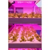 Full Spectrum LED Plant Growth Light Board Supplement Light for