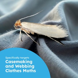 Clothes & Pantry Moth Traps (6 Count) – Sticky Glue Pheromone-Based Repellent for Closets, Cabinets & Wardrobes – Non-Toxic