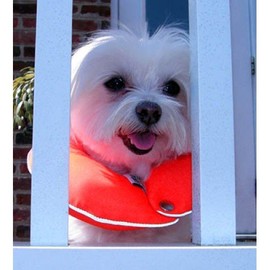 Puppy Bumpers Reflective Glow Pup Bumper™ Keep Your Dog on The Safe Side of The Fence - Glow Orange Up to 10"