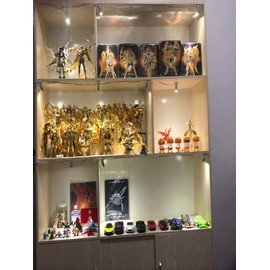 FSLiving Light Unit (White) 2-Light Dimmable Mini Spotlight Jewelry Showcase Display Light Fixture Black Shell LED Unit Lighting Kit Mini Plant Light LED Spotlight