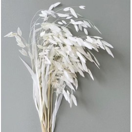 Dried River Oats, Dried Chasmanthium latifolium, Northern Sea Oats，for Wedding, Home Decor, 20 Pieces
