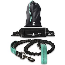 SparklyPets Hands Free Dog Leash for Medium and Large Breeds – Professional Harness with Reflective Stitches for Training, Walking, Jogging and Running Your Pet (Premium Teal, for 1 Dog)