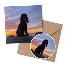 1 x Greeting Card & 10 cm Round Sticker Set - Beautiful Irish Water Spaniel Dog - Birthday Thank You Friend Lover Fan Mum Dad Kids #50213