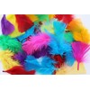 Kids B Crafty 250 Coloured Feathers, Feathers For Crafts, Craft