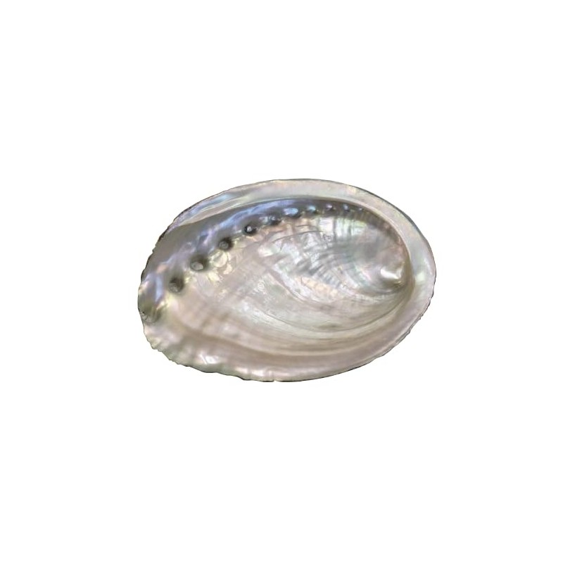 [Abalone Shell] Natural Seashell Dish, Smudging, Purifying, Cleansing, Meditation, White,