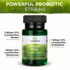 Swanson L. Reuteri Probiotic Plus w/L. Rhamnosus L. Acidophilus &