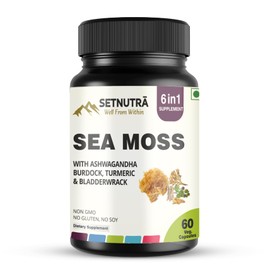 SETNUTRA Well From Within Sea Moss 6 in 1 Super Blend Ashwagandha Burdock Turmeric & Bladderwrack Immunity & Detox Support 60 Veg Capsules Non GMO No Gluten