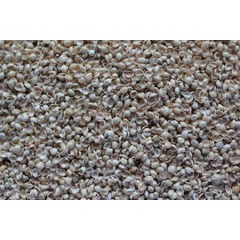 Traumschläferchen 400 g Organic Millet Husks, Millet Fur, Millet Price, Ideal for Refilling Sleeping and Support Pillows