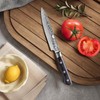 FINDKING 5 Inch Damascus Paring Knife, Multifunctional Small Kitchen Utility