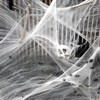 Halloween Spider Web Decoration