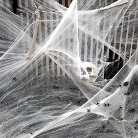 Halloween Spider Web Decoration