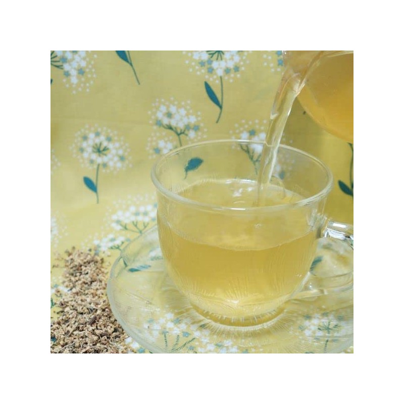 Elder Flower Tea 0.3 oz (10 g) (Postal Compatible Size)