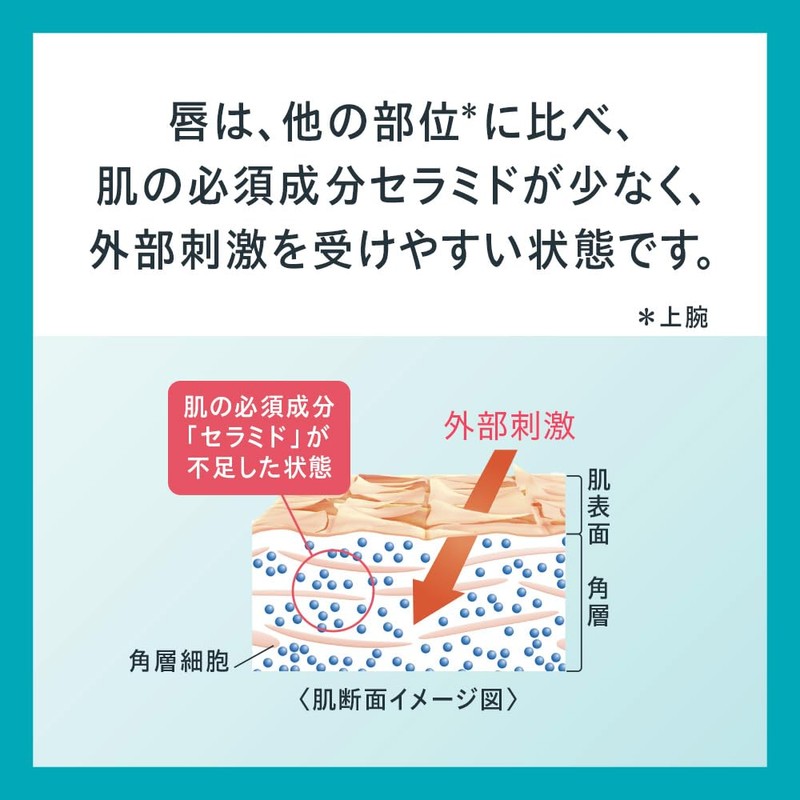 Curel Lip Care Cream, Beautiful Coloring Bordeaux