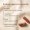 Allium Purus Antioxidant & Immunity Supplement – 60 Capsules with