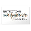 CafePress Nutrition Genius Rectangle Sticker Rectangle Bumper Sticker Car Decal