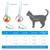 Cat Harness and Leash for Walking Escape Proof Soft Adjustable