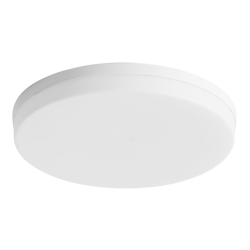 LEDs Ceiling Light Flush Mounting 48W Round Ceiling Lamp for