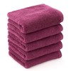 Towel Factory Lab Hotel Specifications Face Towels, Set of 5