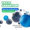 Gumballs for Gumball Machine Refill - 1 Inch Blueberry Flavored