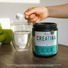 PACALLI Creatina Monohidratada 300g - Sin Sabor - 60 Porciones