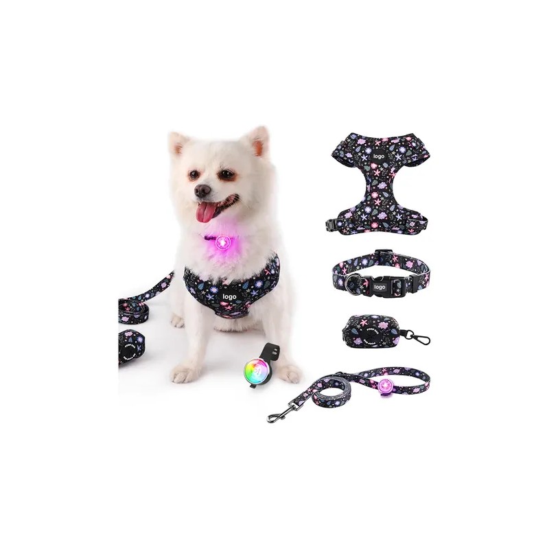 Kit Arnes Pechera Correa Collar Perros Ajustable