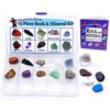 DANCING BEAR -15 Pc Rock & Mineral Collection with Collector