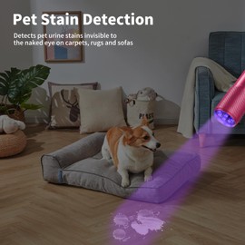 LEAGY 6 Pack UV Ultra Violet Blacklight 9 LED Flashlight Torch Light Outdoors Etc (Pink)