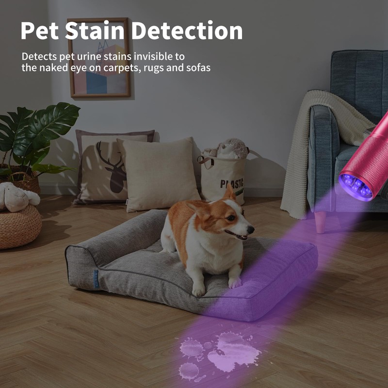 LEAGY 6 Pack UV Ultra Violet Blacklight 9 LED Flashlight