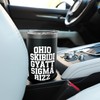 Ohio Skibidi Gyatt Sigma Rizz Funny Meme Vintage Birthday Stainless