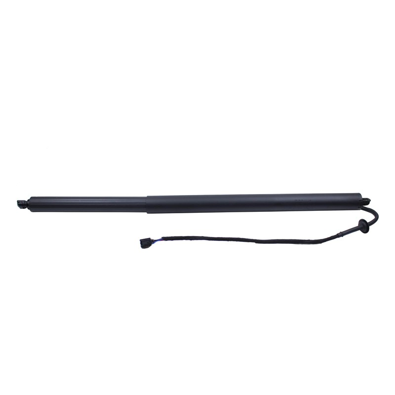 Roneeson 2Pcs Rear Left and Right Tailgate Lift Support for