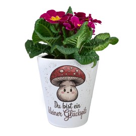 speecheese Lucky Mushroom Flower Pot Mushroom Illustration with Cute Face Red Cap and White Spots Perfect for Home