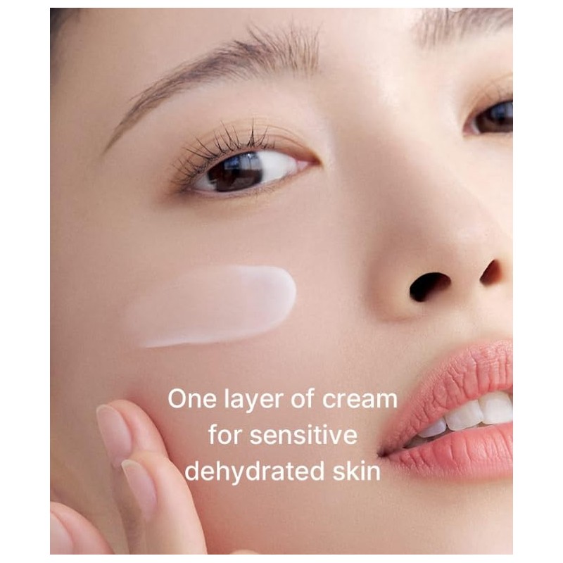 celimax Oil Control Moisturizing Cream