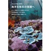 linea mamma baby ママベビー UV&アウトドアスプレー SPF20 / PA++ (オーガニック) 80ml