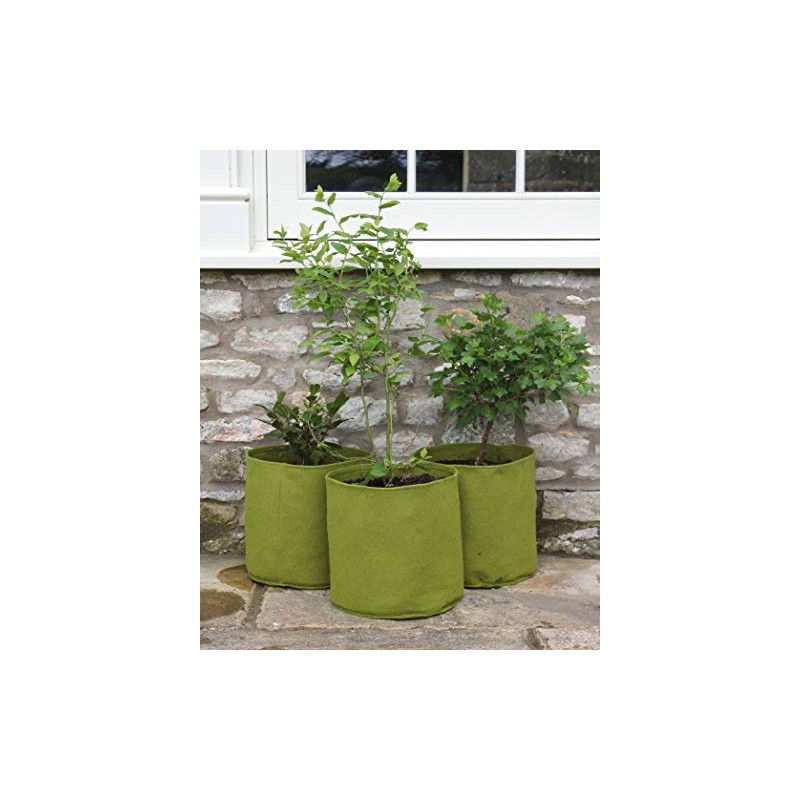 Haxnicks VIG110101 20 Liter Vigo Root Pots, Green, 20 L