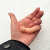 Jizlan 1Pc Little Hand Coin Disappeared Trick Tools Close-Up Magic
