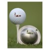 Tin Cup Havana Golf Ball Custom Marker Alignment Tool