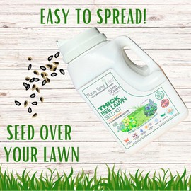 Flawn Seed Kits Thick Bee Lawn, Easy Spread Shaker, Low Maintenance, Pet, Kid, Eco-Friendly Regenerative, Covers Up to 2500 SqFt