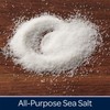 Morton Sea Salt, Fine, 17.6 Ounce