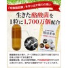 腸活革命 菌と酵素の新習慣 サプリメント 酪酸菌 ビフィズス菌 31日分