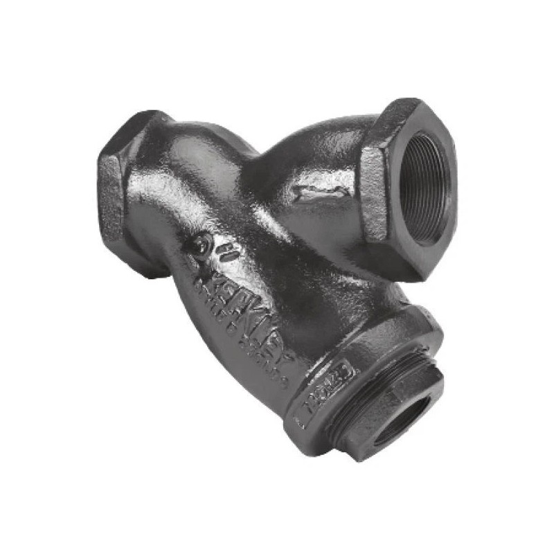 Keckley 1/2 In. Cast Iron 20 Mesh Threaded 250# Wye