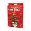 Festive Plant Baubles and Decoration Kit, Festive Plant Christmas Ornaments